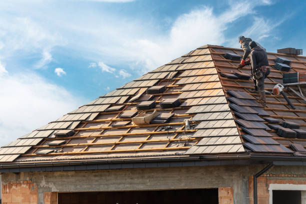 Best Gutter Replacement  in Brookdale, SC